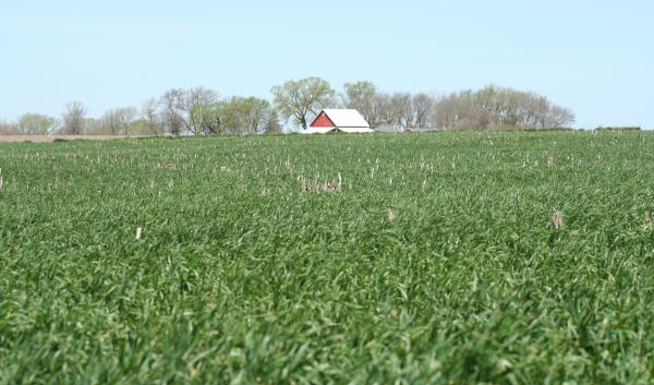 view of red barn across field